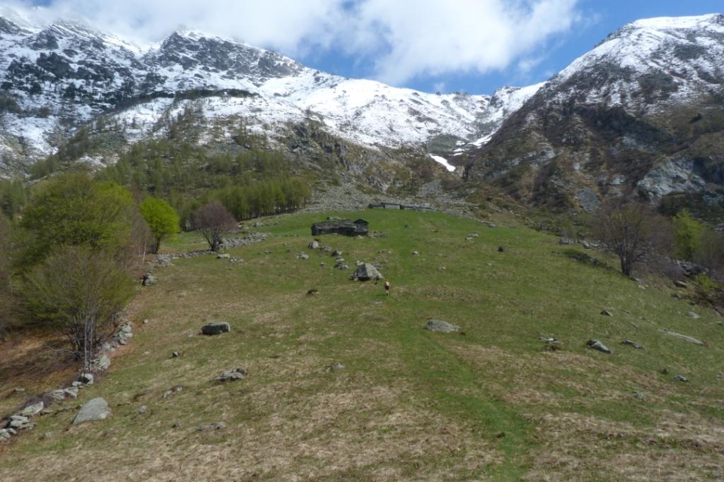 arrivando agli alpeggi d'Attia