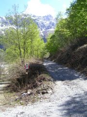 Bivio dove ho lasciato l'auto