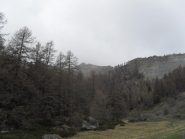 il lungo traverso senza sentiero