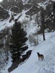inizia la neve,Doberdo' e' con noi