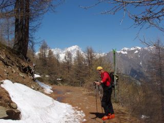 La splendida passeggiata di rientro