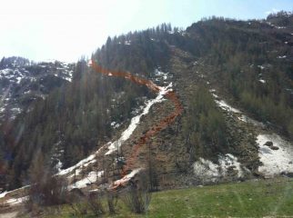 Salita nel bosco