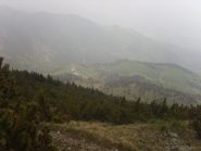 02 - Nel bosco rado sopra l'A.Le Combe