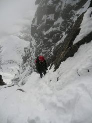 sguardo dal colletto
