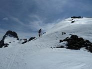 Sulla Petite tête Noire