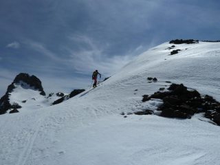 Sulla Petite tête Noire