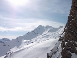 Aiguillette