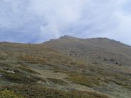 la nostra vetta all'uscita del bosco