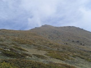 la nostra vetta all'uscita del bosco