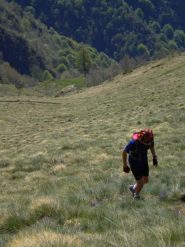 sui pratono sopra S. Domenico 
