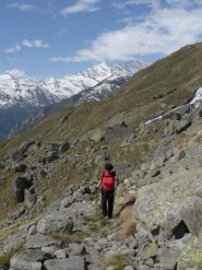 sulla mulattiera reale di caccia