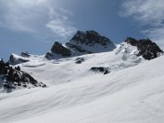 Ecco la Marchisa