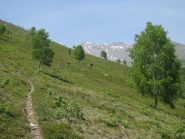 Salendo il versante N-E del Monte Calvo