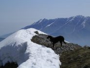 Dalla vetta, Pucci contempla il paesaggio