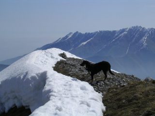 Dalla vetta, Pucci contempla il paesaggio