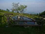 il laghetto all'alpe di nono