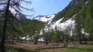 Pianoro a quota 1650 dove finisce la neve