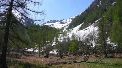 Pianoro a quota 1650 dove finisce la neve