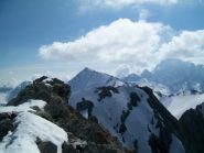 Aiguillette