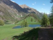cartolina da Bout du Col