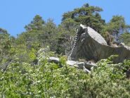 Zoom su seconda scala