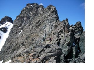 I primi tiri...in conserva...