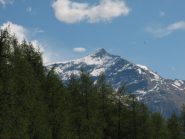 vista sul Rocciamelone