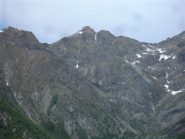 I Gemelli della Mologna