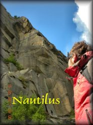 Nautilus