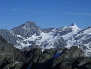 La Bessanese e l'Albaron di Savoia dalla vetta