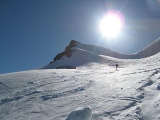 Selletta