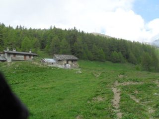 arrivo all'unico alpeggio esistente sul percorso