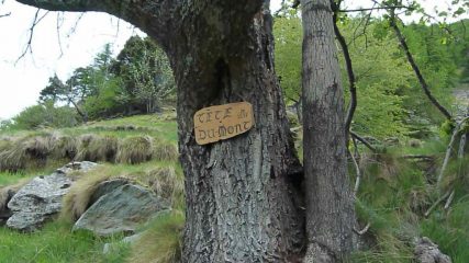 indicazione sull'albero dopo Barmelle