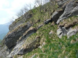 passaggio chiave x l'arciensieu