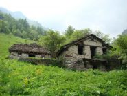  Alpe Ron