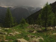 quello che resta dell'alpebrogliatto di sopra