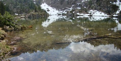 riflessi