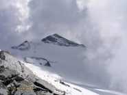 Monte Leone dalla cima.