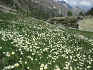 Finale con fiori, stupendo!!