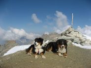 anche loro si godono il panorama