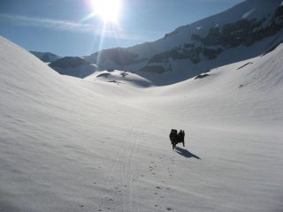 questa neve promette bene...