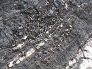 roccia ...