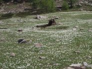 rientro colorato al Pian della Casa