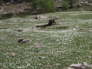 rientro colorato al Pian della Casa