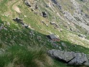 Alpe Turinetto