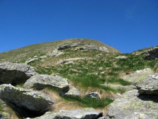 Il Soglio e la fioritura di narcisi