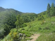 sentiero sopra l'alpe Corti, che conduce alla Colmetta della Cevia/alpe Campo