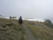 Arrivando al Colle