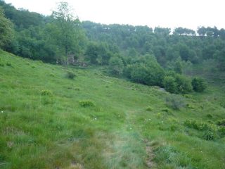 all'alpe pacarina