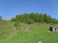 arrivo alla malga semidistrutta ,in vista della punta Valletta